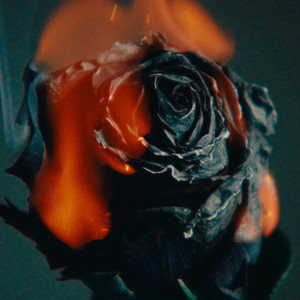 蒂蒂有话电影免费播放
