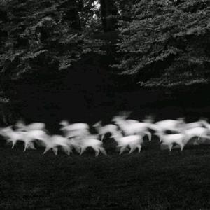 把亲妹妹c到高潮
