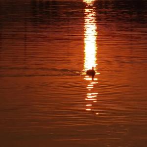 人妻大奶子视频
