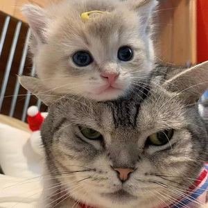 把亲妹妹c到高潮
