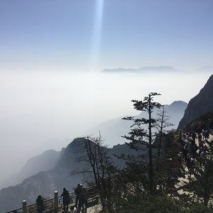 蒂蒂有话电影免费播放
